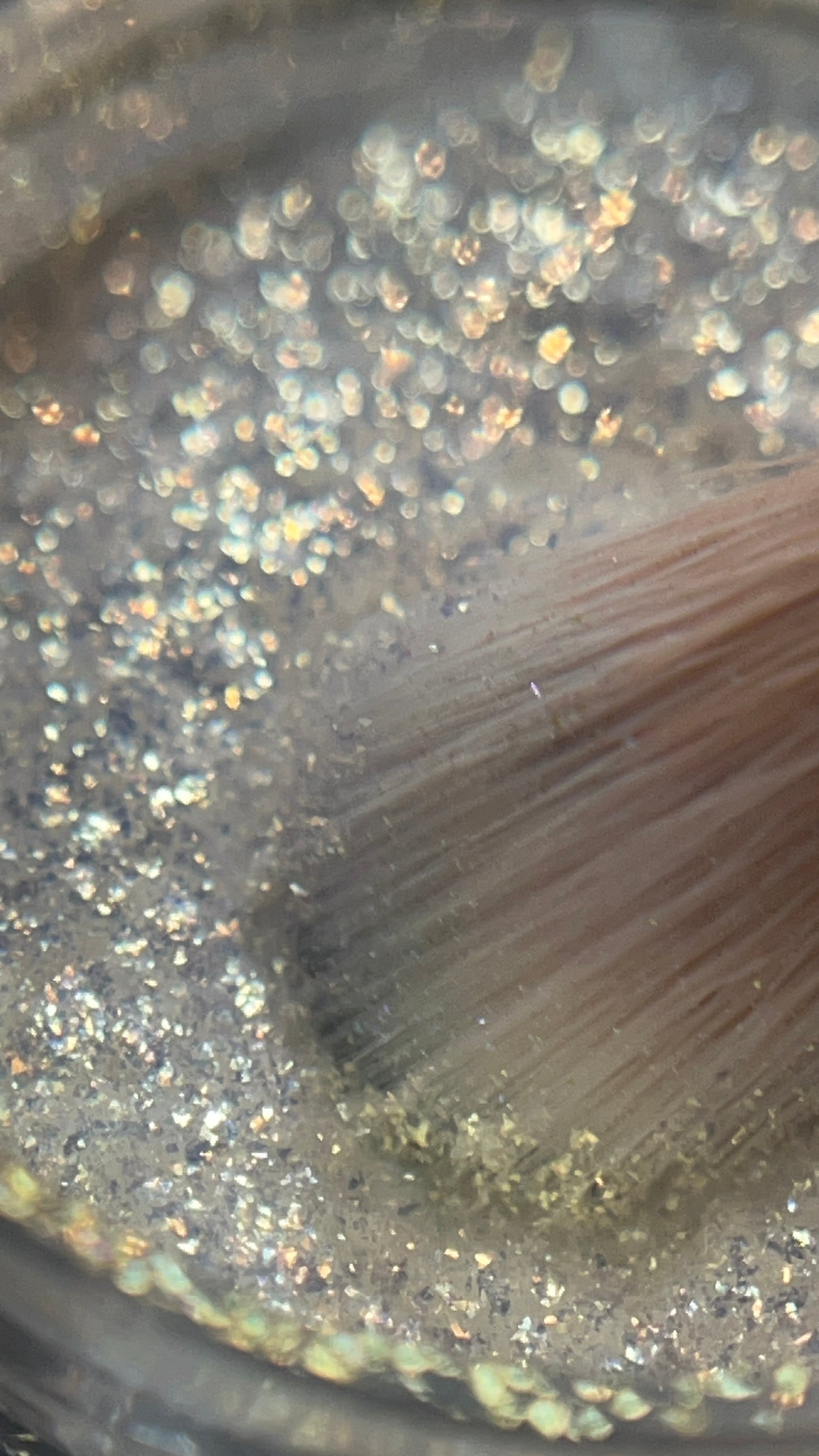 Snowdrop Treasure - Celestial Glitter Pigment